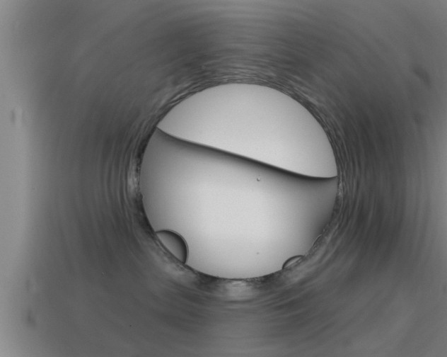 X0000114610287200910200947