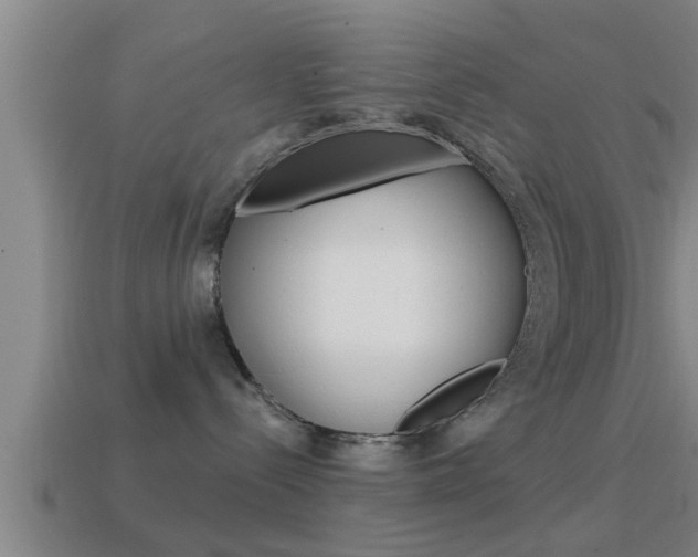 X0000114610288200910200947