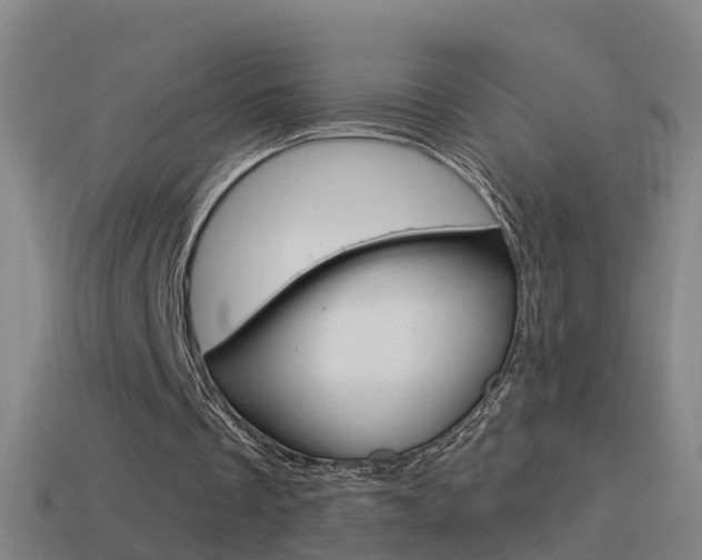 X0000114610289200910200946