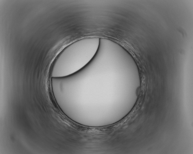 X0000114610290200910200946