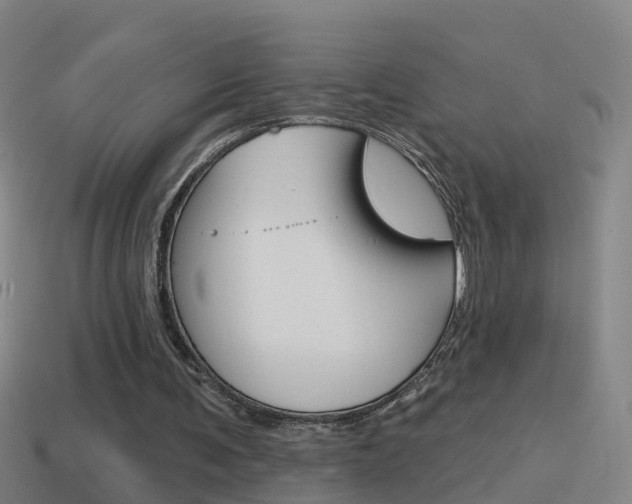 X0000114610291200910200946