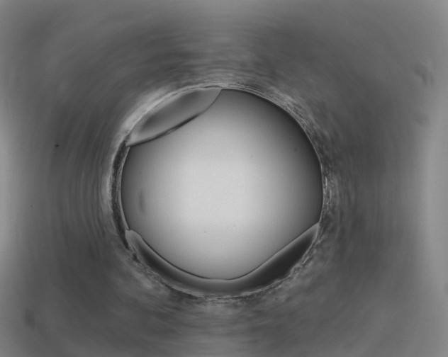 X0000114610292200910200946