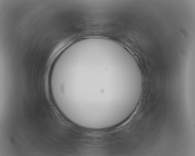 X0000114610293200910200946