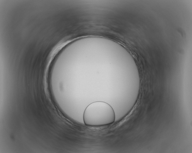 X0000114610294200910200946
