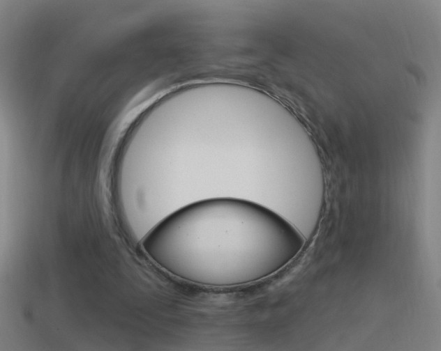 X0000114610295200910200946