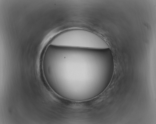 X0000114610296200910200946