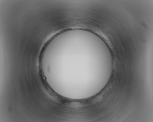 X0000114610298200910200946