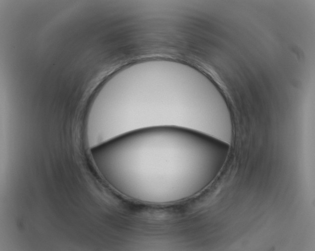X0000114610299200910200946