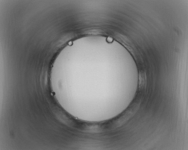 X0000114610301200910200946