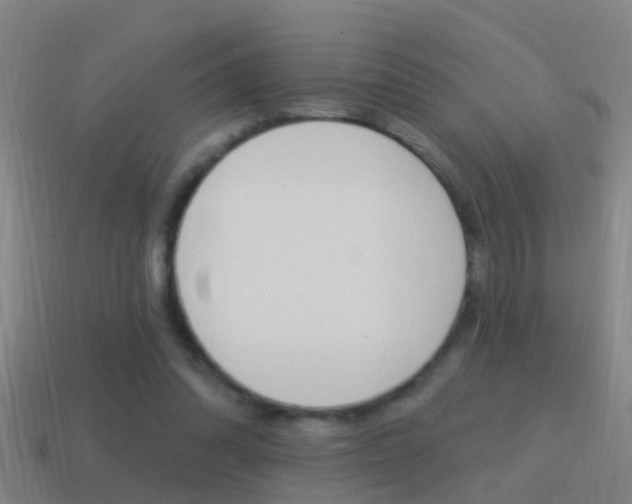 X0000114610302200910200946