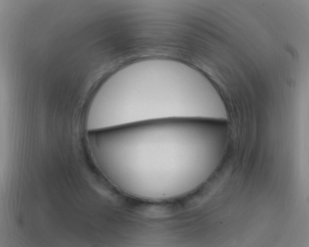 X0000114610303200910200946