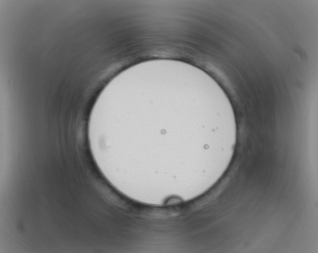 X0000114610305200910200946