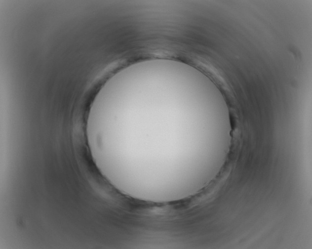 X0000114610306200910200946