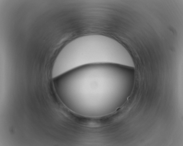 X0000114610308200910200946