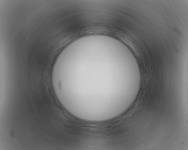 X0000114610309200910200946