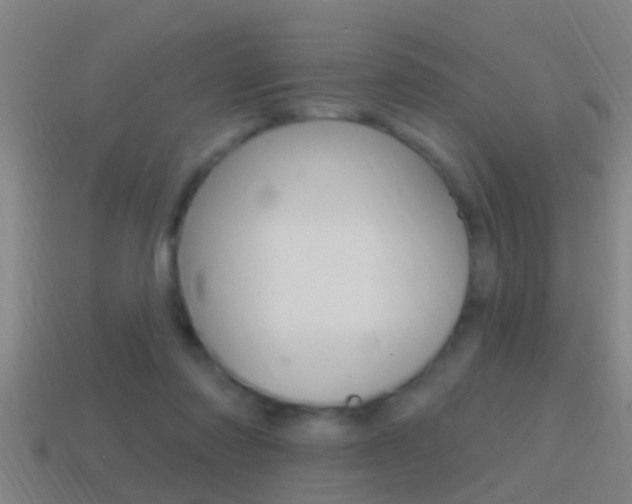 X0000114610310200910200946