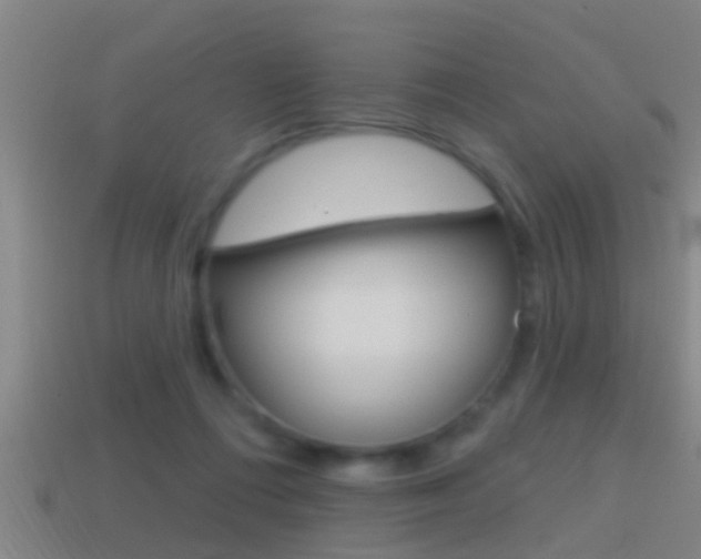 X0000114610312200910200946