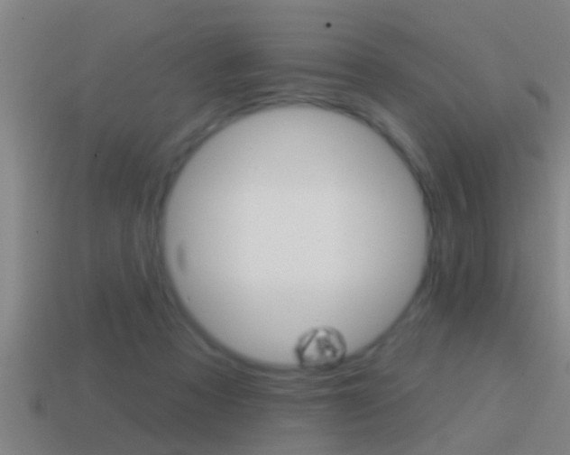 X0000114610313200910200946