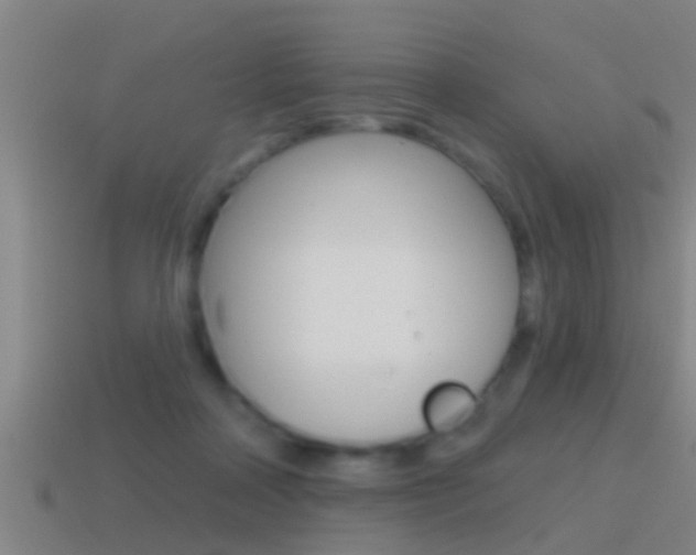 X0000114610314200910200946