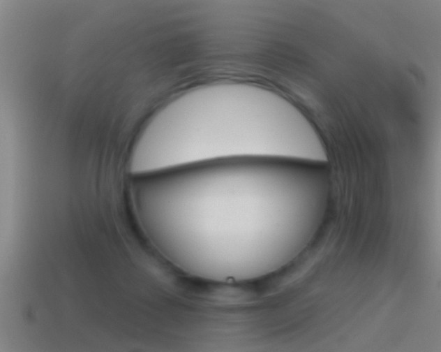 X0000114610315200910200946