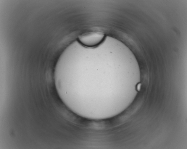 X0000114610317200910200946