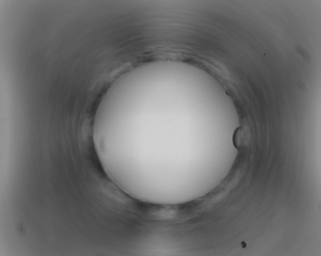 X0000114610318200910200946