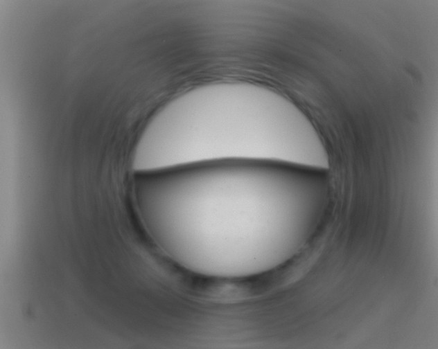 X0000114610319200910200946