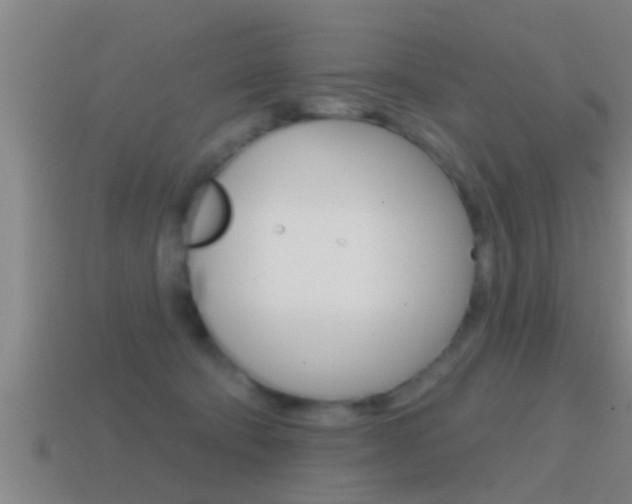 X0000114610322200910200946