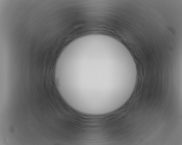 X0000114610323200910200946