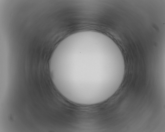 X0000114610325200910200946