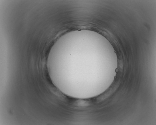 X0000114610326200910200946