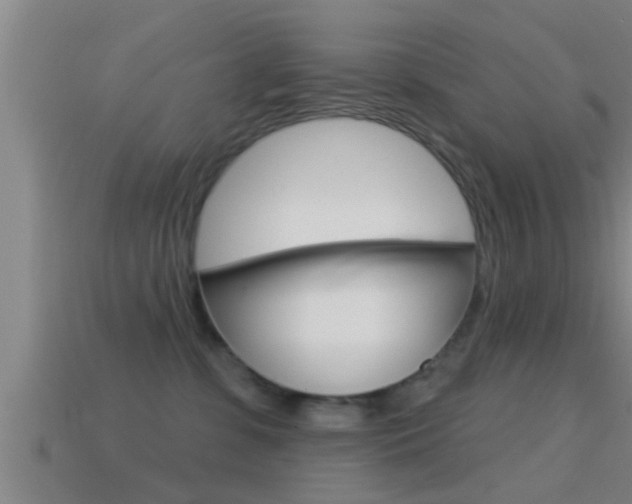 X0000114610331200910200946