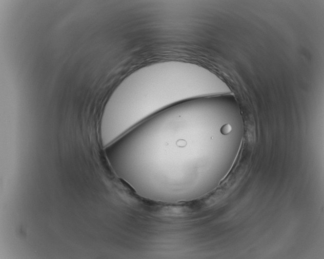 X0000114610332200910200946
