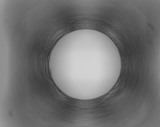 X0000114610333200910200946