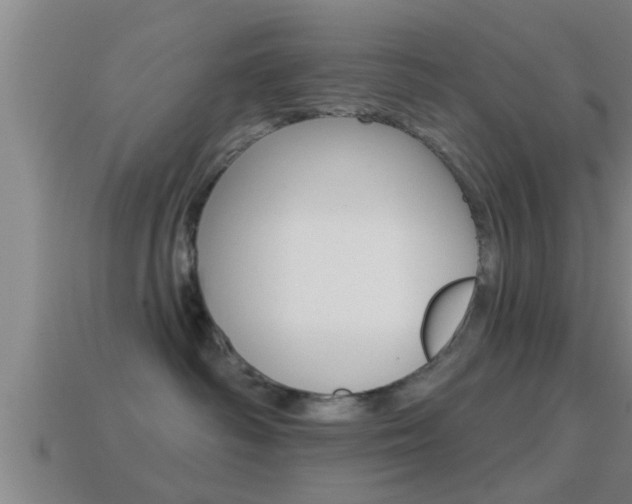 X0000114610334200910200946