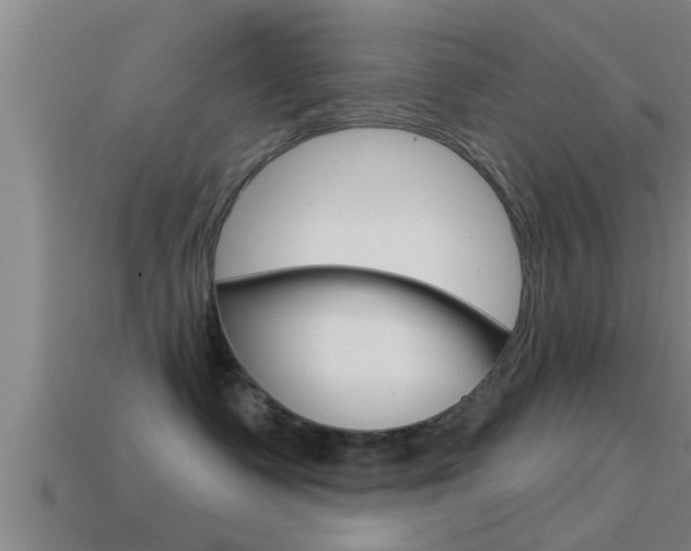 X0000114610335200910200946