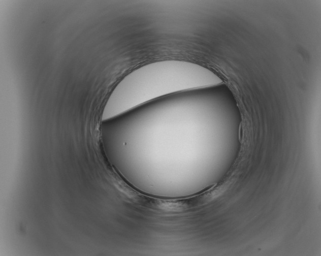 X0000114610336200910200946