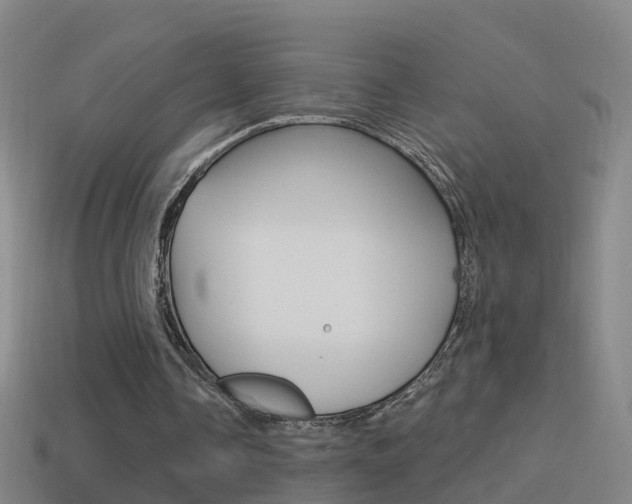 X0000114610338200910200945