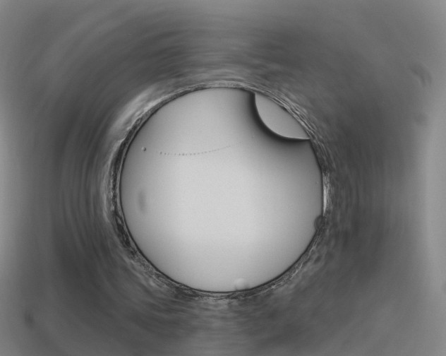 X0000114610339200910200945
