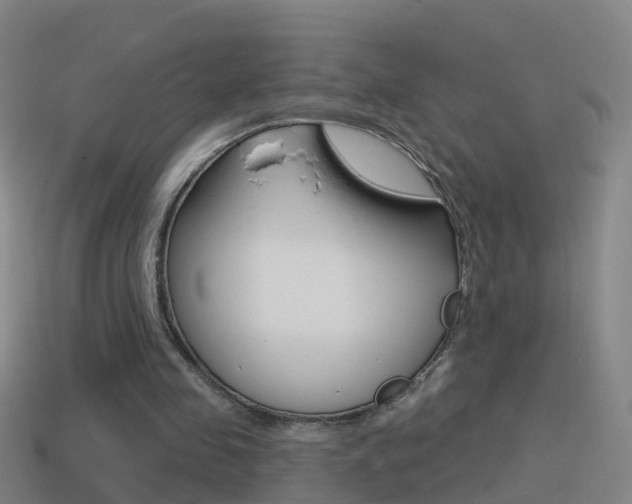 X0000114610341200910200945