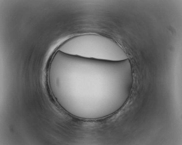 X0000114610342200910200945