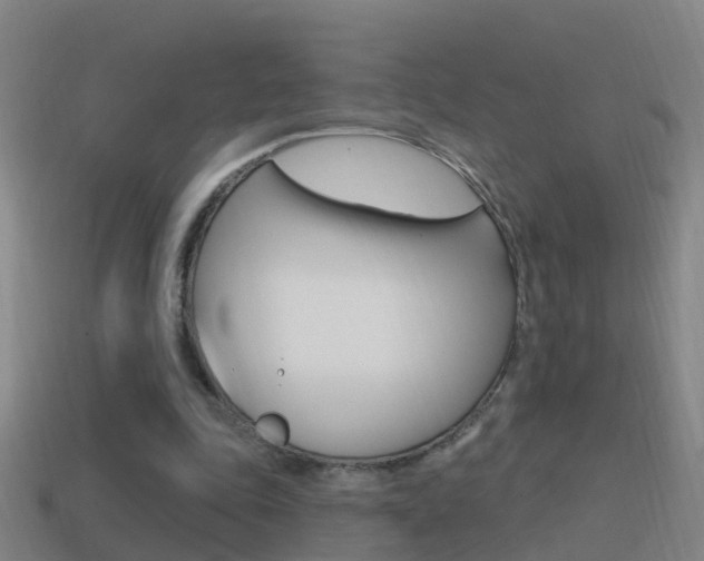 X0000114610343200910200945