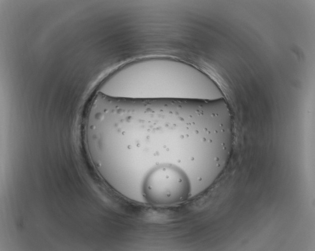 X0000114610346200910200945