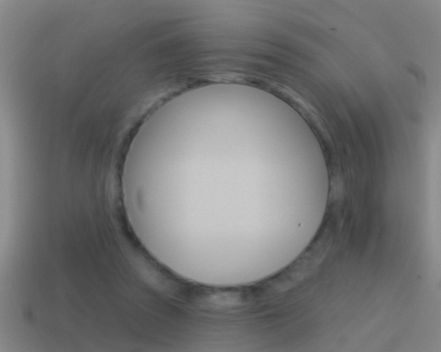 X0000114610353200910200945