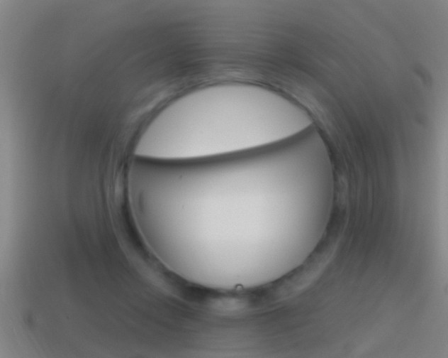 X0000114610358200910200945