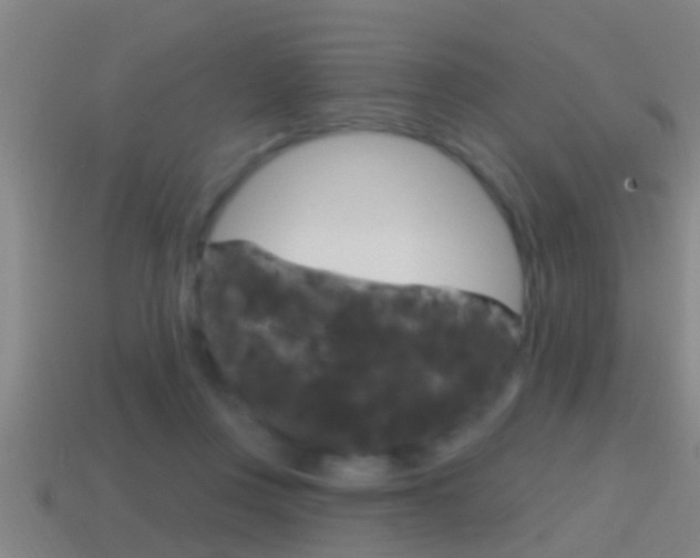 X0000114610359200910200945