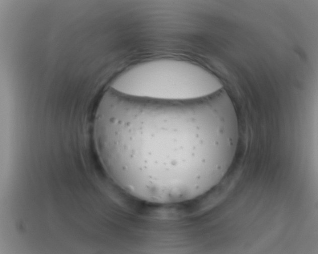 X0000114610366200910200945