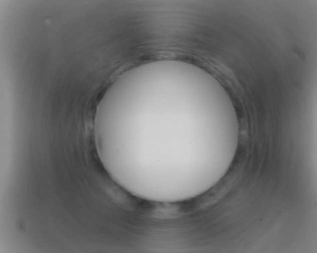 X0000114610369200910200945