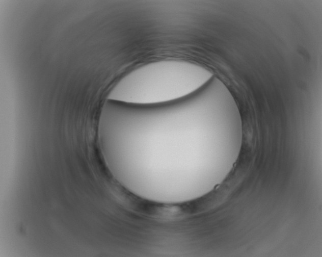 X0000114610374200910200945