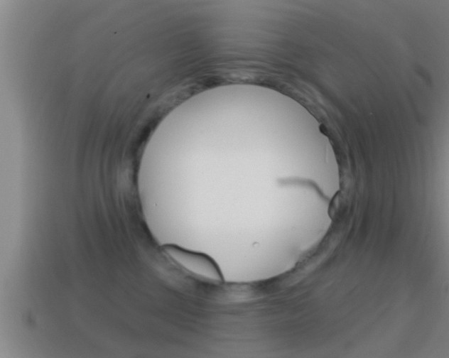 X0000114610377200910200945